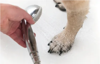 ペット専用足洗い場